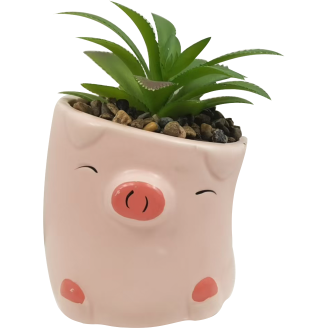 Tekokasvi ruukulla Miny possu