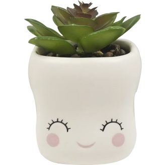 Tekokasvi ruukulla Miny vaahtokarkki