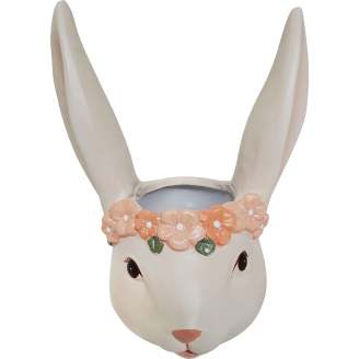 Istutusastia Kotikulta pupu