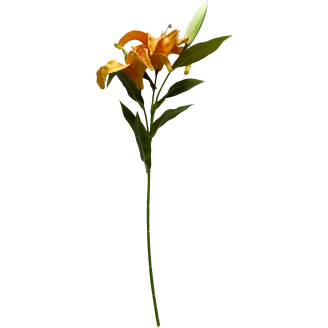 Lilja Kotikulta 58 cm