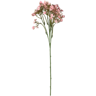 Kesäharso-oksa Kotikulta 46 cm