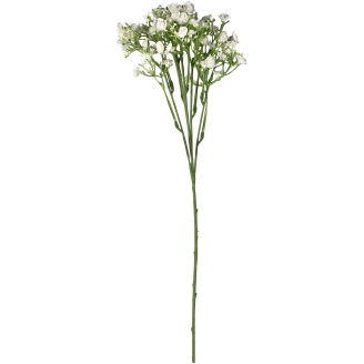 Kesäharso-oksa Kotikulta 46 cm