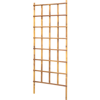 Köynnösritilä Parco akaasia