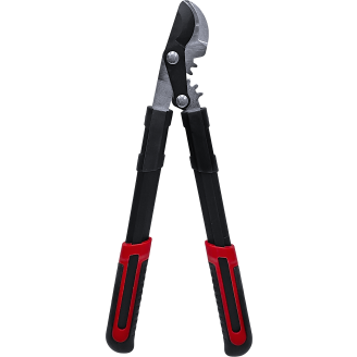 Oksaleikkuri Brücke PROFI45 Gear Action