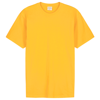 Miesten T-paita Pantoneclo