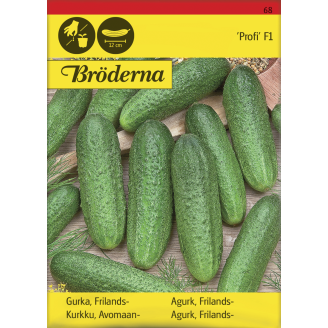 Avomaankurkku Profi F1 siemen Bröderna Nelsons