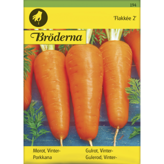 Porkkana Flakkée 2 siemen Bröderna Nelsons