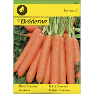 Porkkana Nantaise 2 siemen Bröderna Nelsons