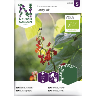 Ruusupapu siemen Nelson Garden Basic Lady Di Organic