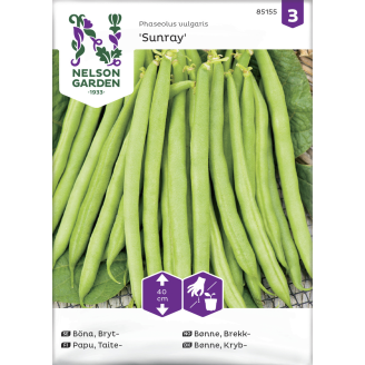 Taitepapu siemen Nelson Garden Basic Sunray