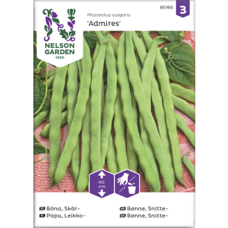 Leikkopapu siemen Nelson Garden Basic Admires
