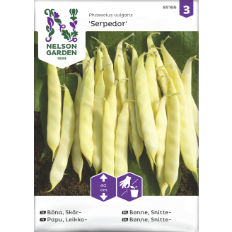 Leikkopapu siemen Nelson Garden Basic Serpedor