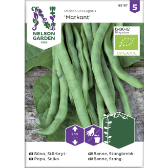 Salkopapu siemen Nelson Garden Basic Markant Organic