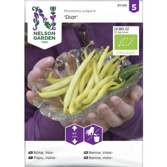 Vahapapu siemen Nelson Garden Basic Dior Organic