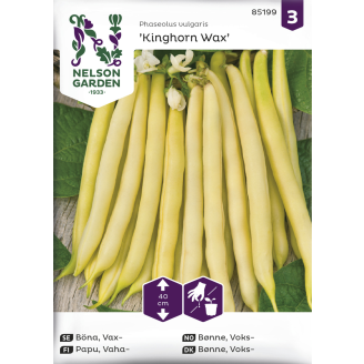 Vahapapu siemen Nelson Garden Basic Kinghorn Wax