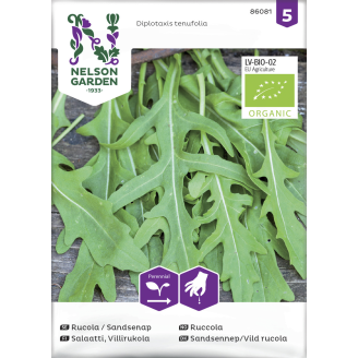 Salaatti siemen Nelson Garden Basic Villirukola Organic