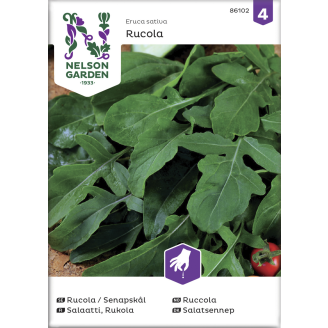 Salaatti siemen Nelson Garden Basic Rukola