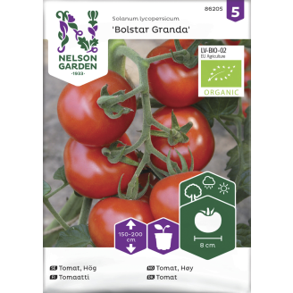 Tomaatti siemen Nelson Garden Basic Bolstar Granda Organic