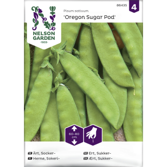 Sokeriherne siemen Nelson Garden Basic Oregon Sugar Pod