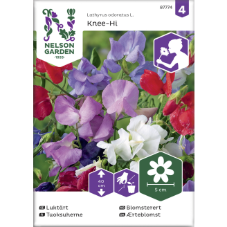 Tuoksuherne siemen Nelson Garden Basic Knee-Hi seos