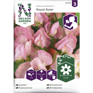 Tuoksuherne siemen Nelson Garden Basic Royal Rose