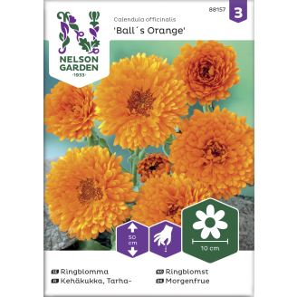 Tarhakehäkukka siemen Nelson Garden Basic Balls Orange