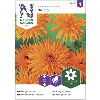 Tarhakehäkukka siemen Nelson Garden Basic Radio