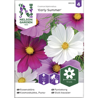 Punakosmoskukka siemen Nelson Garden Basic Early Summer
