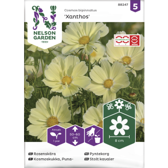 Punakosmoskukka siemen Nelson Garden Basic Xanthos