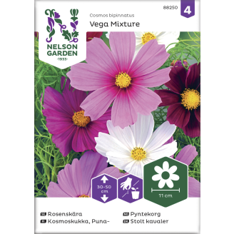 Punakosmoskukka siemen Nelson Garden Basic Vega Mixture