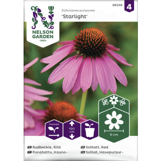 Kaunopunahattu siemen Nelson Garden Basic Starlight