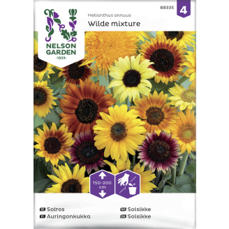 Auringonkukka siemen Nelson Garden Basic seos