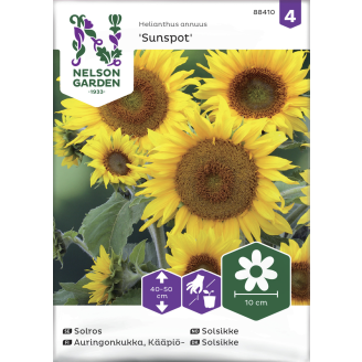 Kääpiöauringonkukka siemen Nelson Garden Basic Sunspot