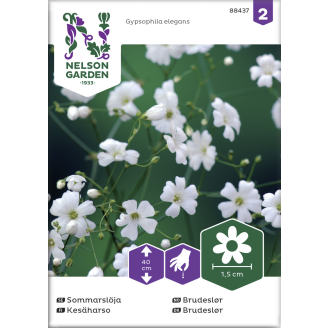 Kesäharso siemen Nelson Garden Basic