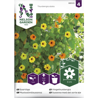 Mustasilmäsusanna siemen Nelson Garden Basic väriseos