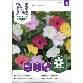 Mökinihmekukka siemen Nelson Garden Basic väriseos