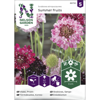 Koreatörmäkukka siemen Nelson Garden Basic Summer fruits