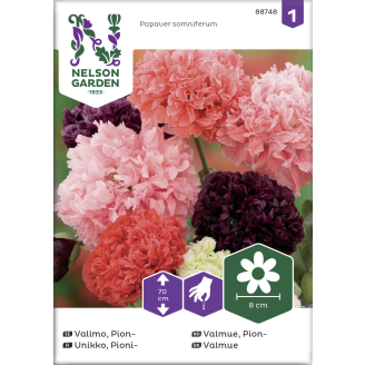 Pioniunikko siemen Nelson Garden Basic väriseos