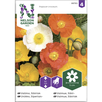 Siperianunikko siemen Nelson Garden Basic väriseos