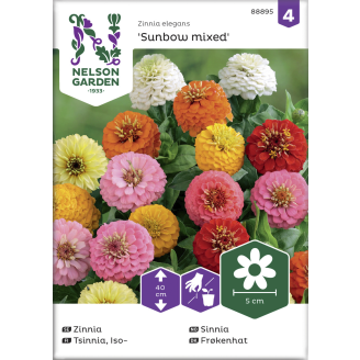 Isotsinnia siemen Nelson Garden Basic Sunbow väriseos