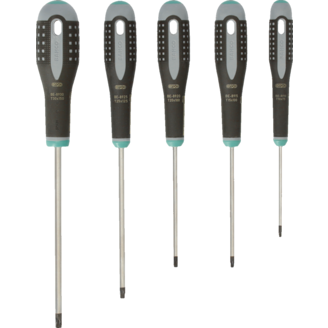 Ruuvitalttasarja Bahco Torx 5 osaa