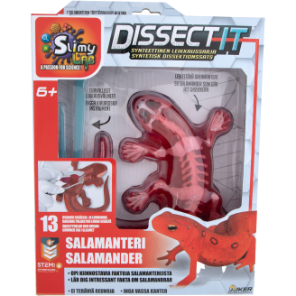 Dissect it Salamanteri