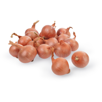 Istukassipuli salottisipuli Red Sun 500 g Golden Selection