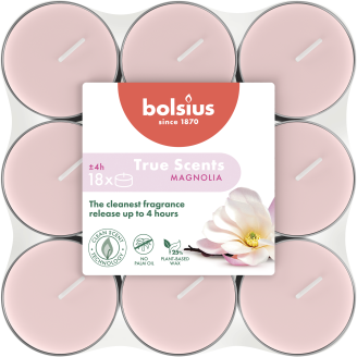 Tuoksulämpökynttilä Bolsius 18 kpl Magnolia