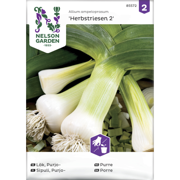 Purjosipuli siemen Nelson Garden Basic Herbstriesen höst