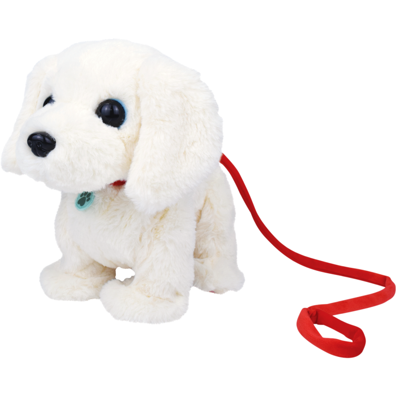 Koiranpentu Labradori suomenkielinen