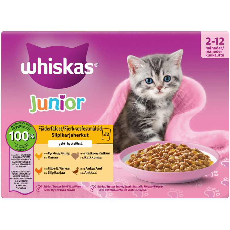 Kissanruoka Whiskas 12 x 85 g Junior siipikarjaa hyytelössä