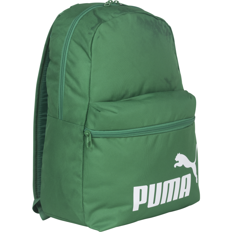 Reppu Puma Phase
