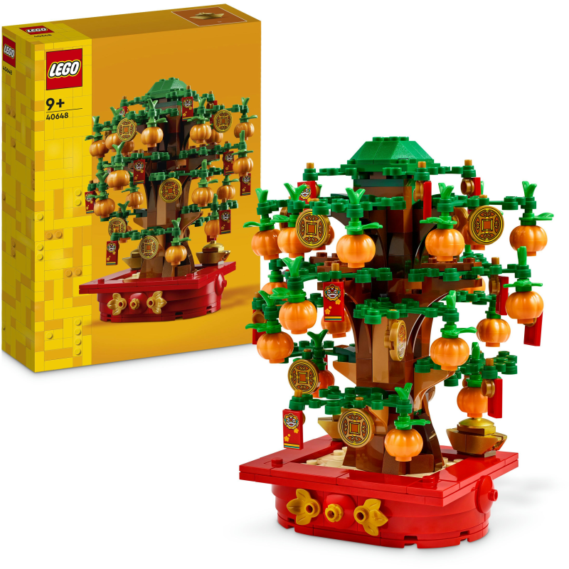 LEGO 40648 Rahapuu