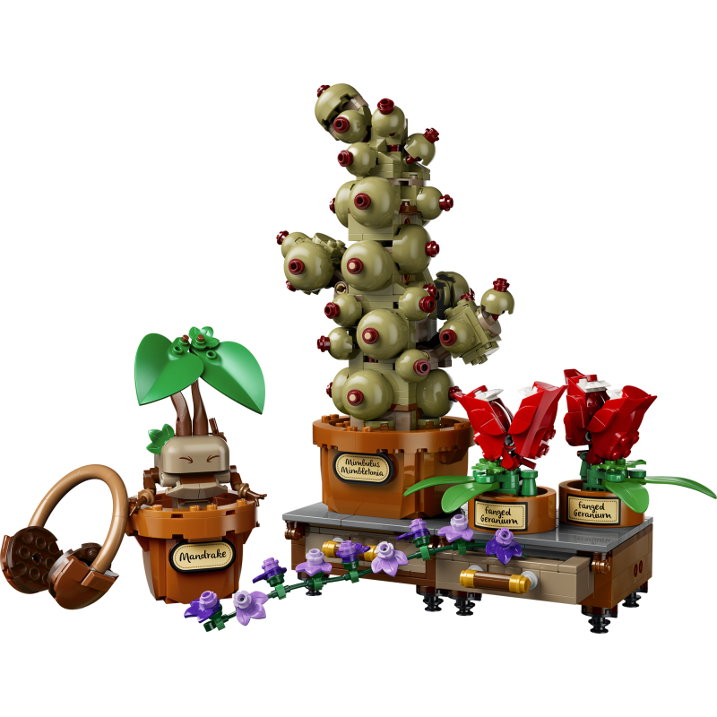 LEGO Harry Potter TM 76474 Tylypahkan yrttitiedon oppitunnin kasvit